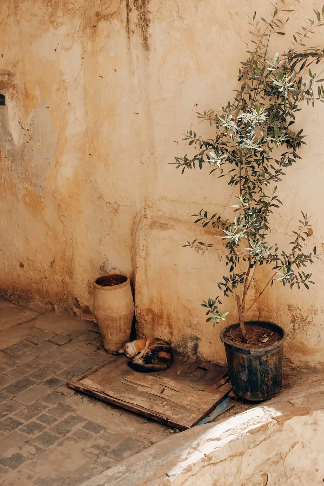 Fès – Foto 5